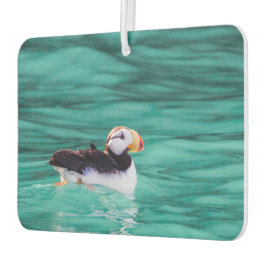 Ambientador Aluminio En La Bahía Resurrección, Alaska