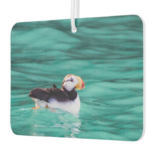 Ambientador Aluminio En La Bahía Resurrección, Alaska (Izquierda)