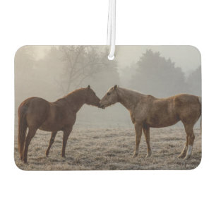 Ambientador Amor de caballo