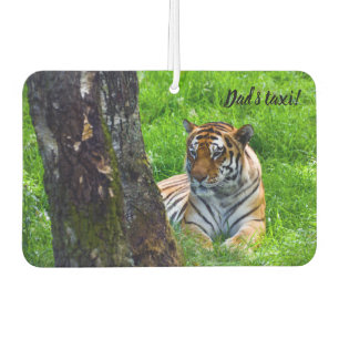 Ambientador Amur Tiger Car Air Freshener