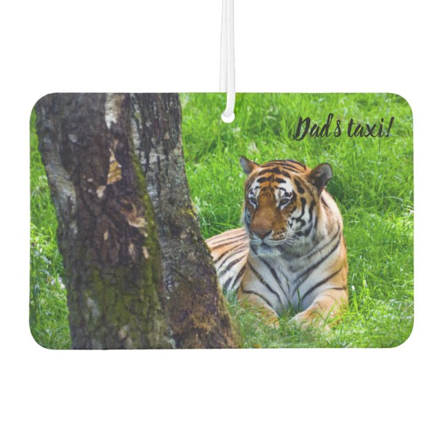 Ambientador Amur Tiger Car Air Freshener (Anverso)