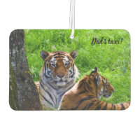 Amur Tigers Car Air Freshener