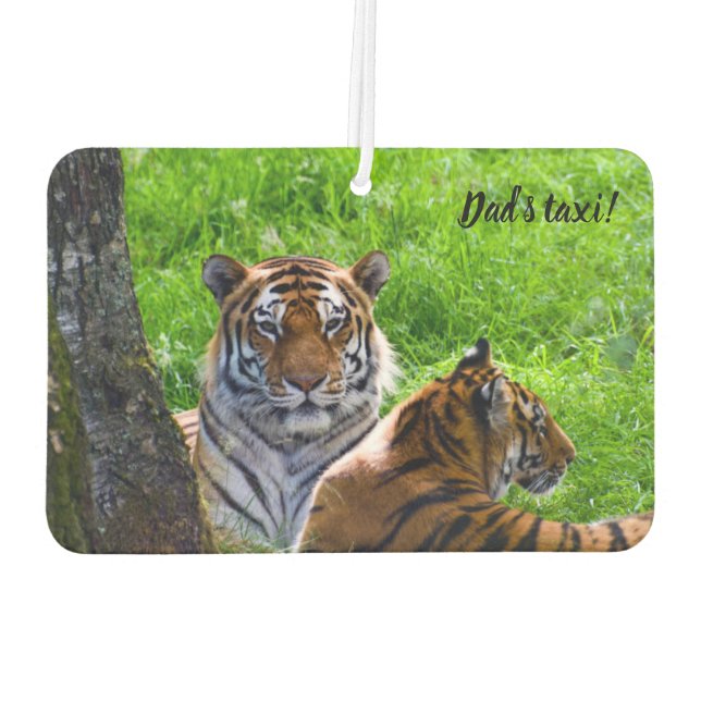 Ambientador Amur Tigers Car Air Freshener (Reverso)
