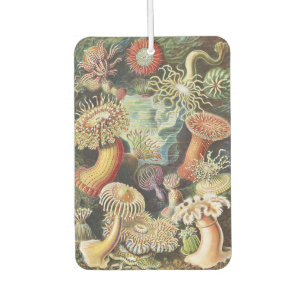 Ambientador Anémonas de Mar de Haeckel Arte Náutico de Vida Ma