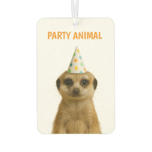AMBIENTADOR ANIMAL DE FIESTA