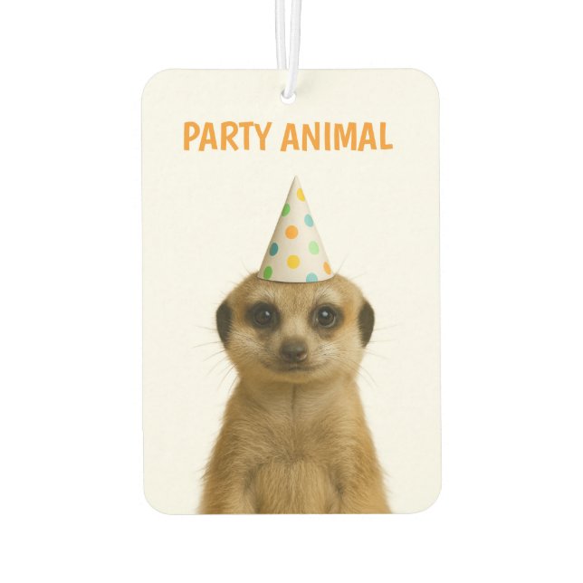 AMBIENTADOR ANIMAL DE FIESTA (Reverso)