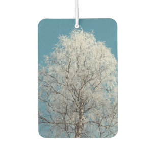 Ambientador Árbol blanco salvaje contra cielo azul sin nubes