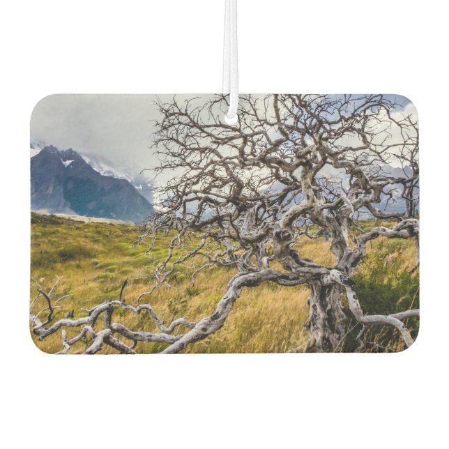 Ambientador Árbol quemado, Torres del Paine, Chile (Anverso)