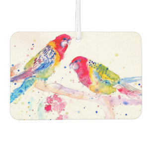 Ambientador Arte de loro Pintado de color acuático colorido