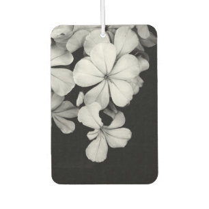Ambientador Arte de Plumbago Monocromo Vintage
