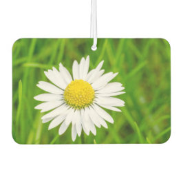 Ambientador Asombroso Daisy Air Freshener