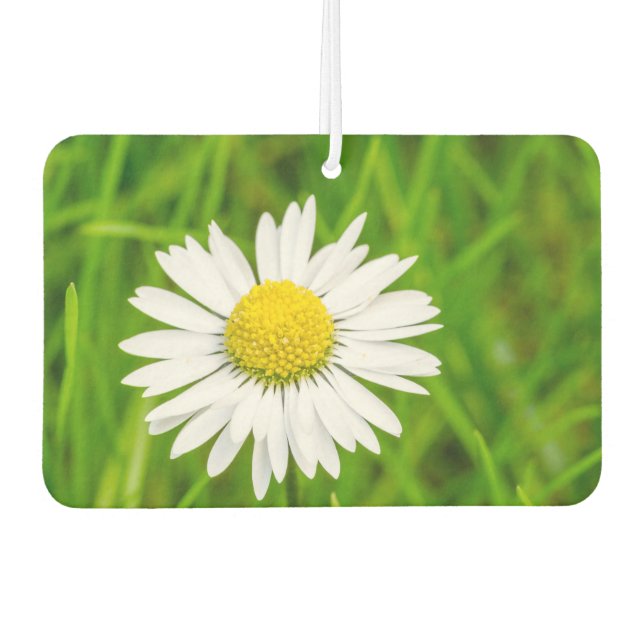Ambientador Asombroso Daisy Air Freshener (Anverso)