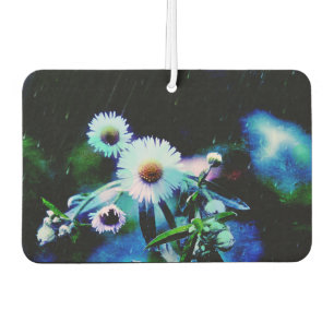 Ambientador Asters Aglow