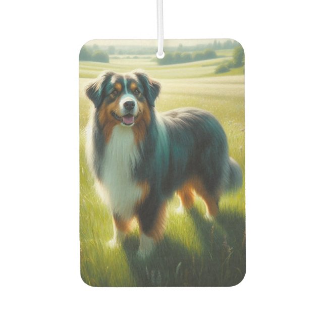 Ambientador Australian Shepherd (Anverso)