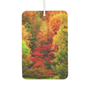 AMBIENTADOR AUTUMNS GLORY