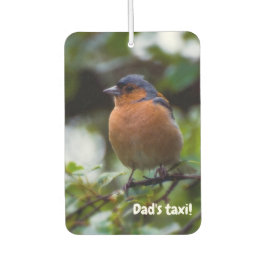 Ambientador Ave Chaffinch Aire fresco del coche