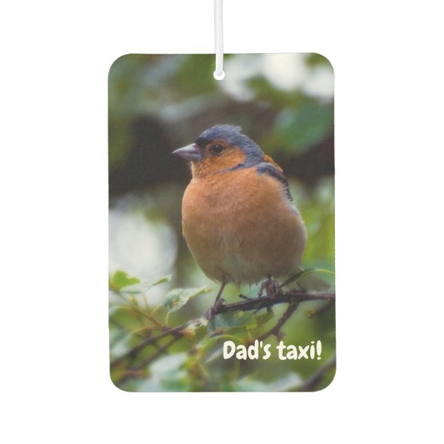 Ambientador Ave Chaffinch Aire fresco del coche (Anverso)