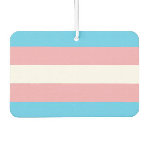 Ambientador Bandera del Orgullo Transgénero