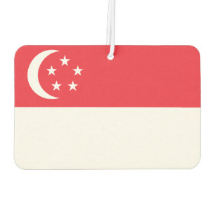 Ambientador Bandera Mundial de Singapur
