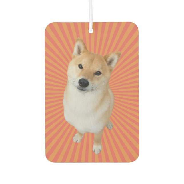 Ambientador Barkley Brand Rectangle Air Freshener (Anverso)