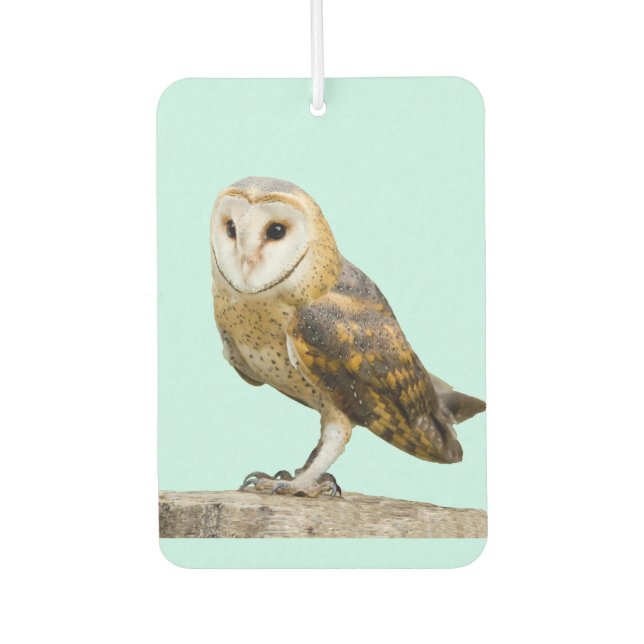 Ambientador Barn Owl (Anverso)