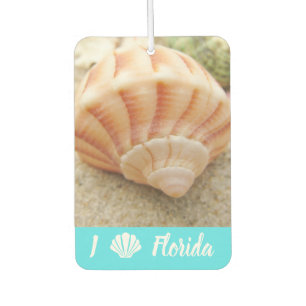 Ambientador Beach Seashell Florida Aqua Blue