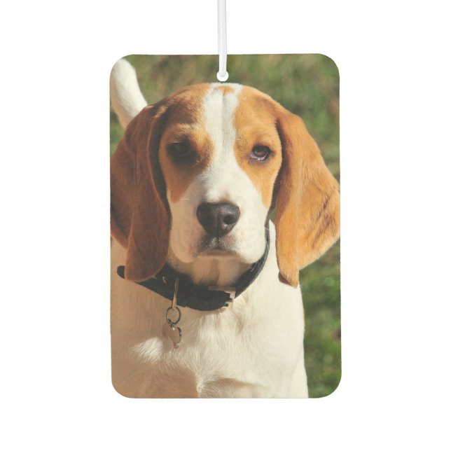 Ambientador Beagle Car Air Freshener (Anverso)