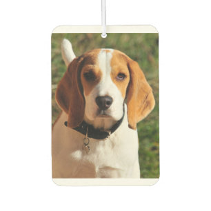 Ambientador Beagle Car Air Freshener