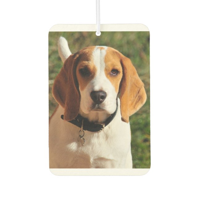 Ambientador Beagle Car Air Freshener (Anverso)