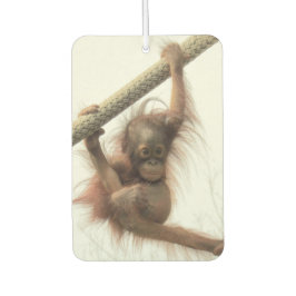 Ambientador Bebé balanceador Orangutan Air Freshener
