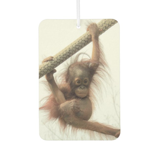 Ambientador Bebé balanceador Orangutan Air Freshener (Anverso)