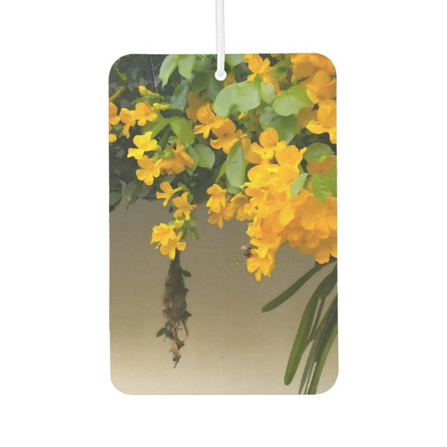 Ambientador Belleza Flor de Oro (Anverso)