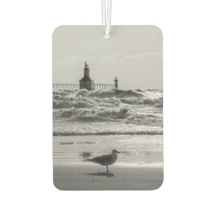 Ambientador Belleza Y Escala De Grises Forzadas