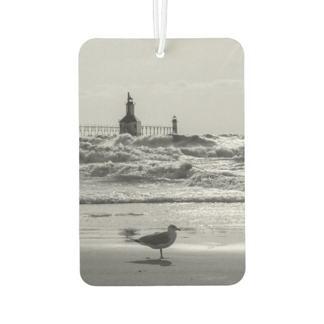 Ambientador Belleza Y Escala De Grises Forzadas (Reverso)