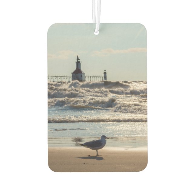 Ambientador Belleza Y Fuerza (Reverso)