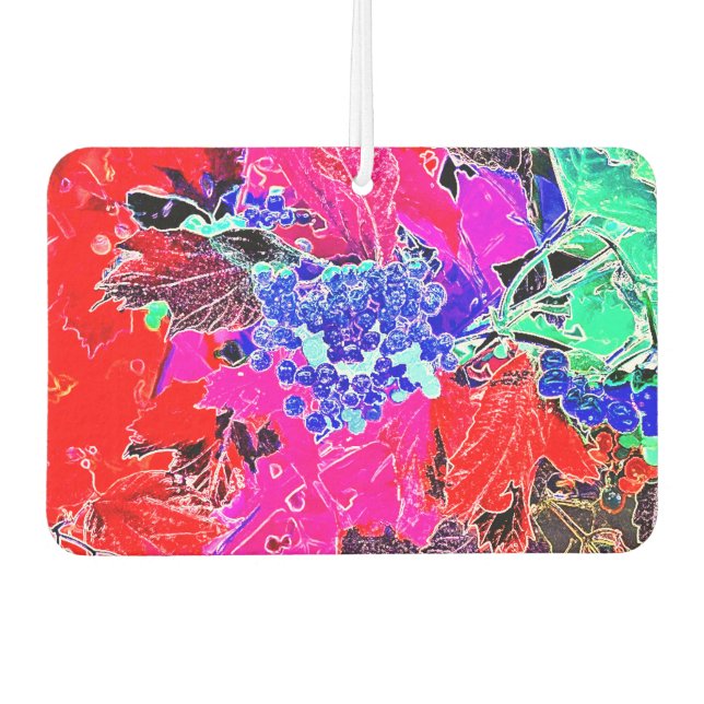 AMBIENTADOR BERRÍAS Y SALIDAS (Anverso)