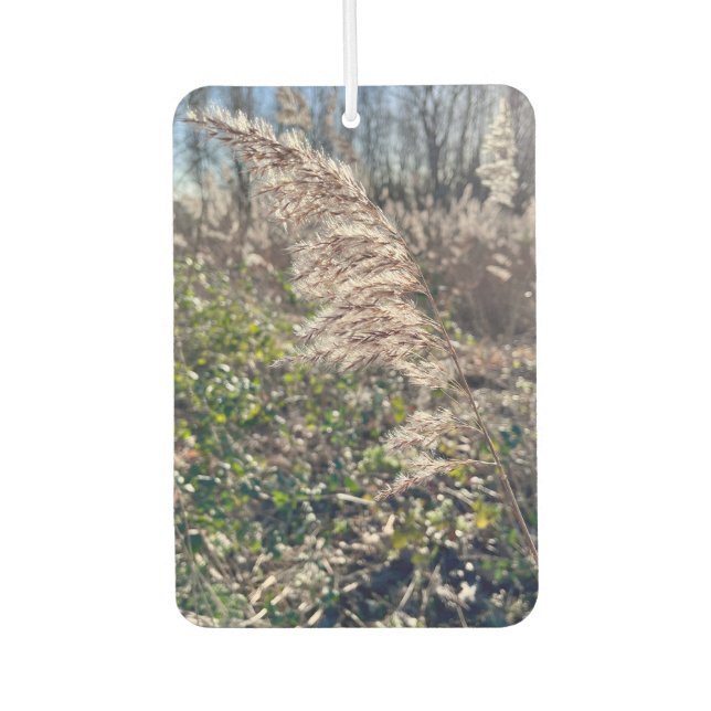 Ambientador Bienvenida de otoño. (Anverso)