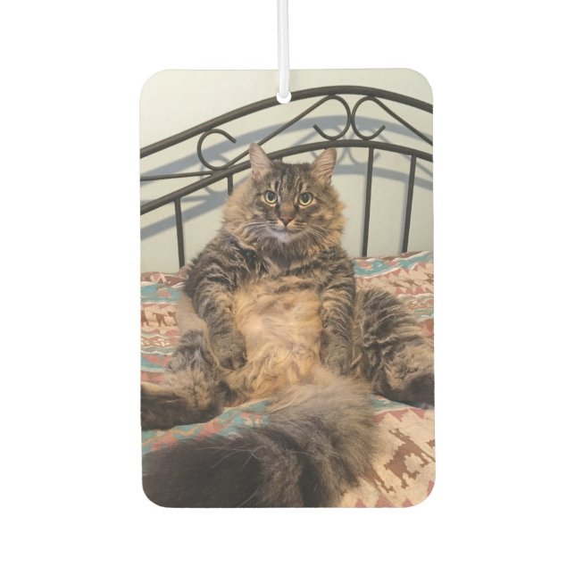 Ambientador Big Huggable Cat Car Air Freshener (Anverso)
