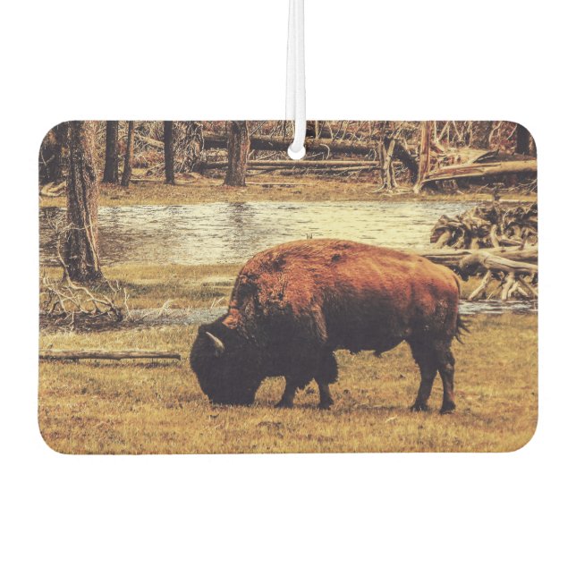 Ambientador Bison (Anverso)