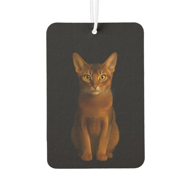 Ambientador Black 4 Luxe Car Air Fresheners, Abyssinian Beauty (Reverso)