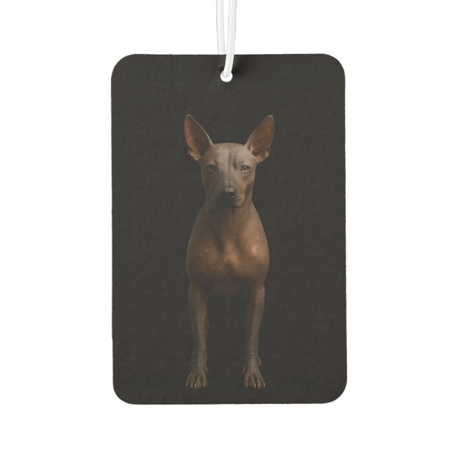 Ambientador Black 4 Luxe Car Air Fresheners Argentina Pila Dog (Reverso)