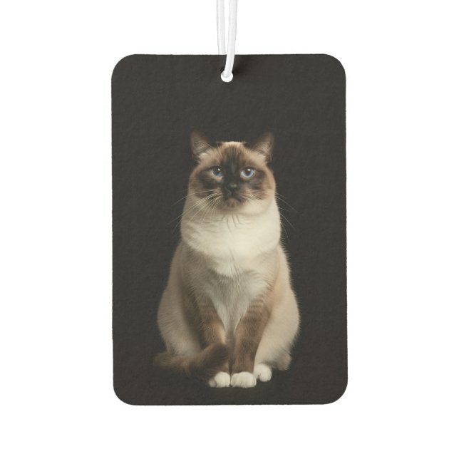 Ambientador Black 4 Luxe Car Air Fresheners, Birmanese Cat (Reverso)