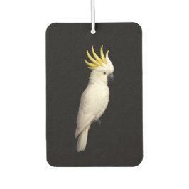 Ambientador Black 4 Luxe Car Air Fresheners, Crested Cockatoo