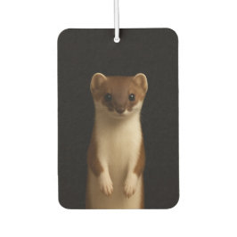 Ambientador Black 4 Luxe Car Air Fresheners, Elegant Weasel