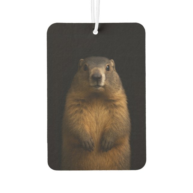 Ambientador Black 4 Luxe Car Air Fresheners, Fluffy Marmot (Reverso)