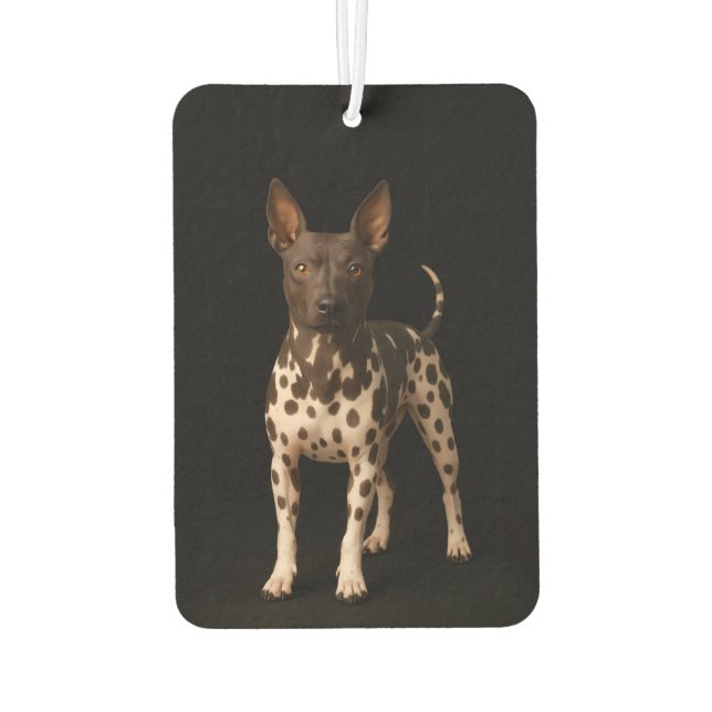 Ambientador Black 4 Luxe Car Air Fresheners, Hairless Terrier (Reverso)