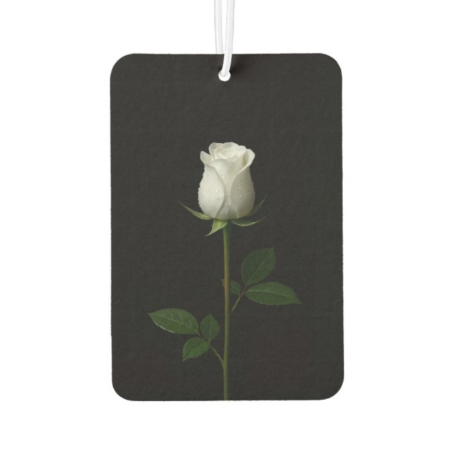 Ambientador Black 4 Luxe Car Air Fresheners, Pure White Rose (Reverso)