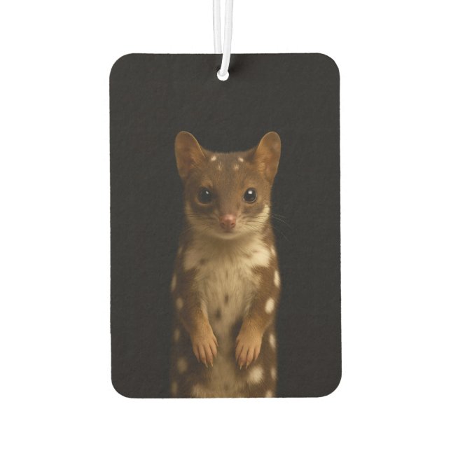 Ambientador Black 4 Luxe Car Air Fresheners Sweet Quoll (Reverso)