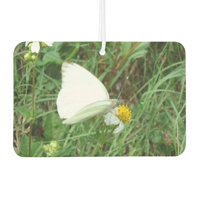 Ambientador Blanco sobre verde (Anverso)