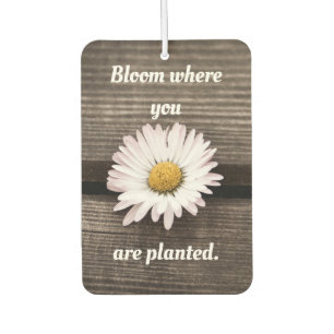 Ambientador Bloom Donde Te Plantan